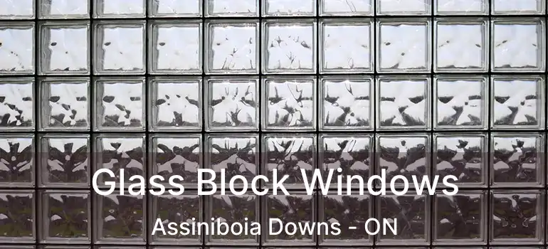  Glass Block Windows Assiniboia Downs - ON