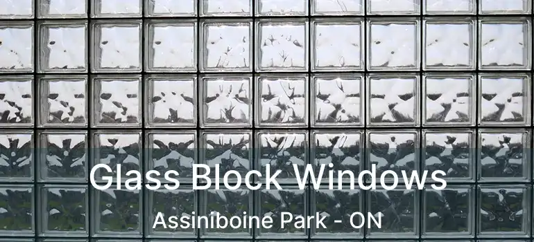  Glass Block Windows Assiniboine Park - ON