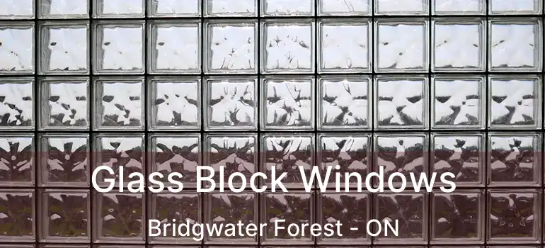  Glass Block Windows Bridgwater Forest - ON