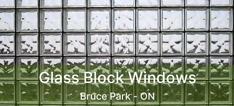  Glass Block Windows Bruce Park - ON