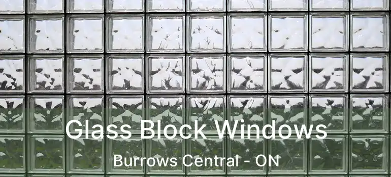  Glass Block Windows Burrows Central - ON