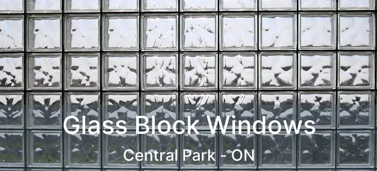  Glass Block Windows Central Park - ON