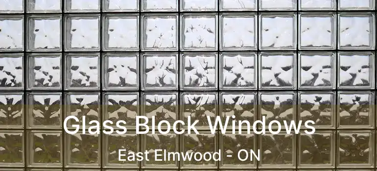  Glass Block Windows East Elmwood - ON