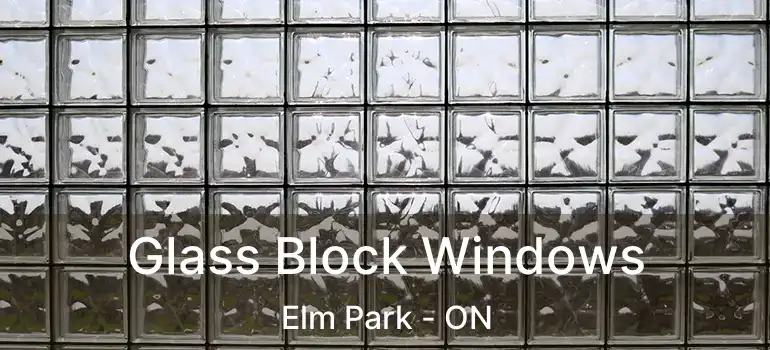 Glass Block Windows Elm Park - ON