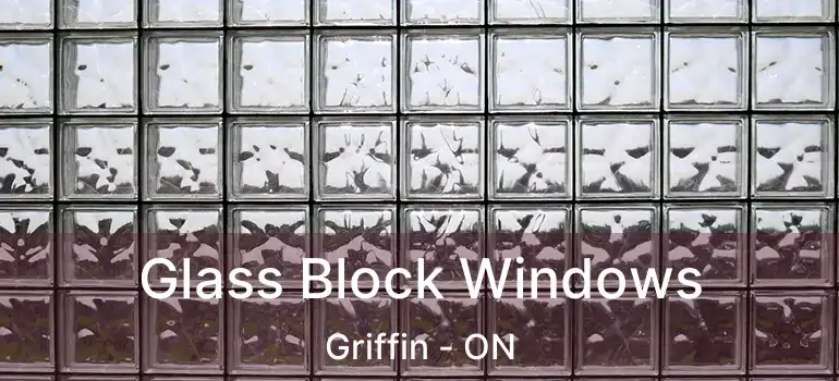 Glass Block Windows Griffin - ON