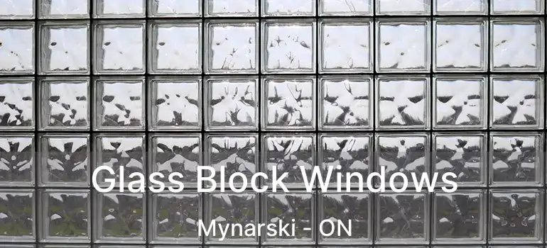  Glass Block Windows Mynarski - ON