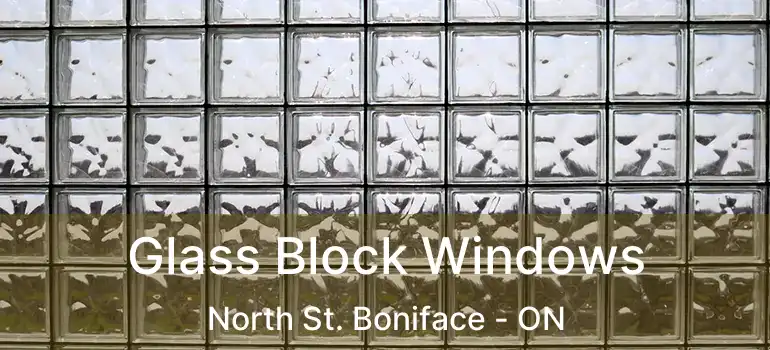 Glass Block Windows North St. Boniface - ON