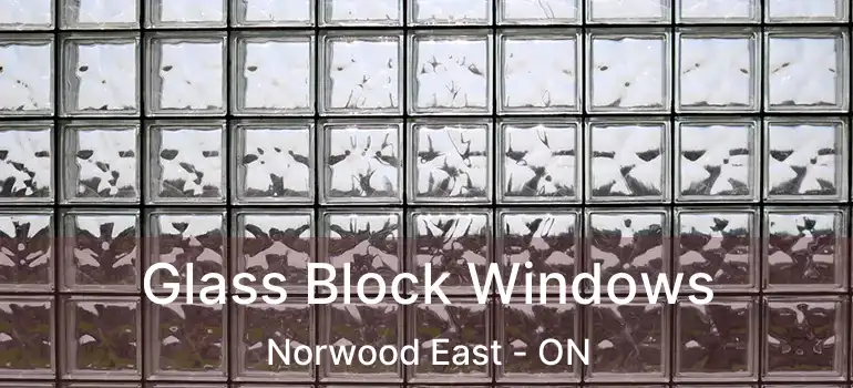  Glass Block Windows Norwood East - ON