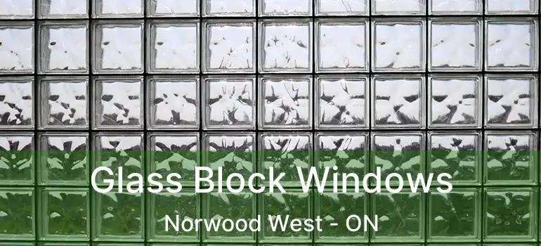  Glass Block Windows Norwood West - ON