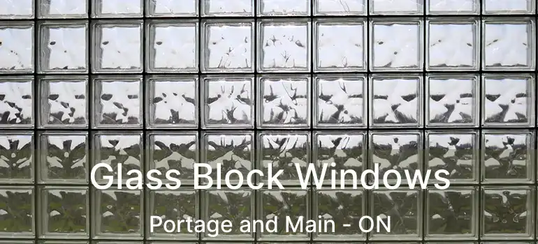  Glass Block Windows Portage and Main - ON