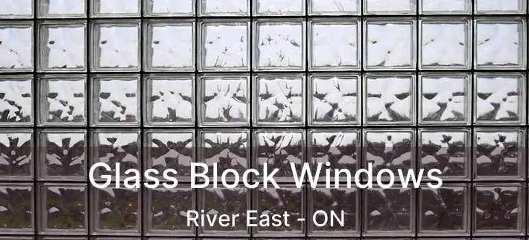  Glass Block Windows River East - ON