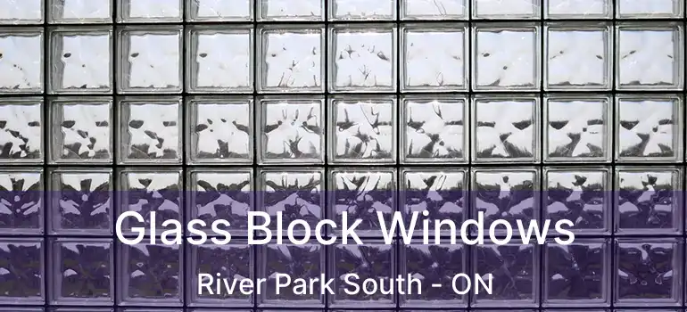  Glass Block Windows River Park South - ON