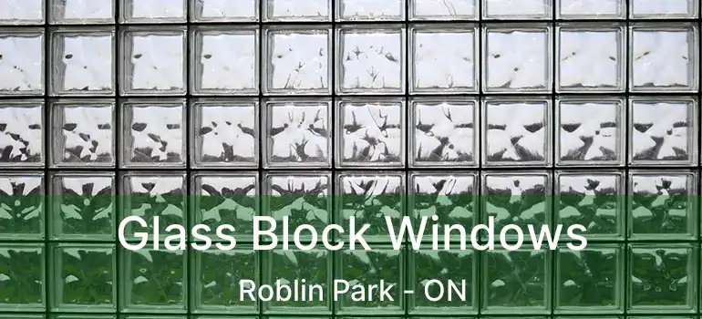  Glass Block Windows Roblin Park - ON