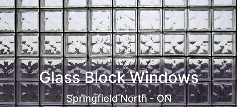  Glass Block Windows Springfield North - ON