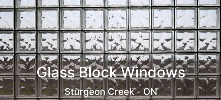  Glass Block Windows Sturgeon Creek - ON