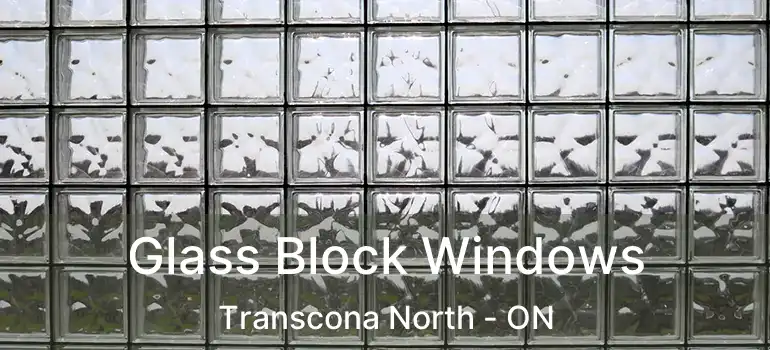  Glass Block Windows Transcona North - ON