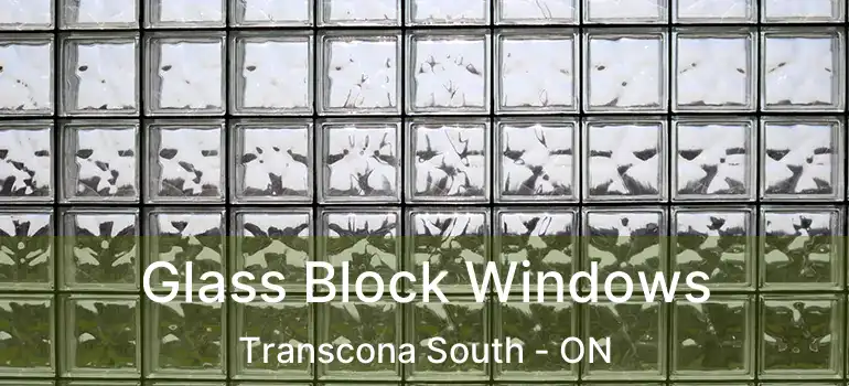  Glass Block Windows Transcona South - ON