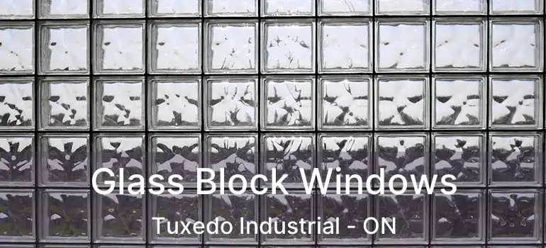  Glass Block Windows Tuxedo Industrial - ON