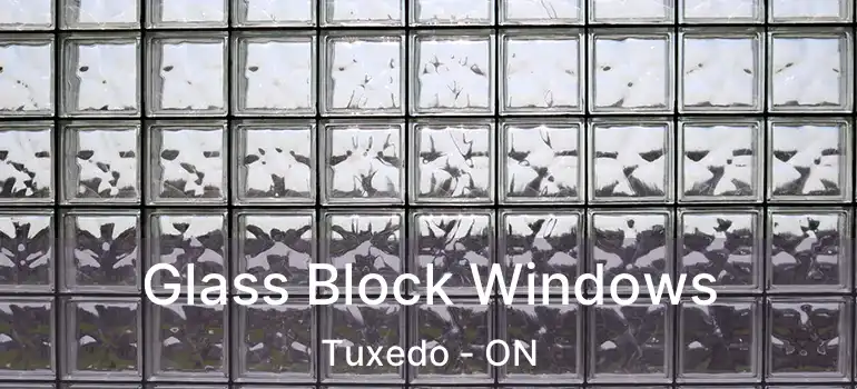  Glass Block Windows Tuxedo - ON