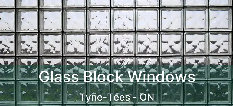  Glass Block Windows Tyne-Tees - ON