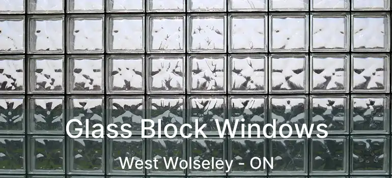  Glass Block Windows West Wolseley - ON