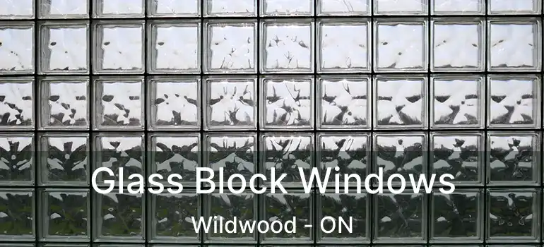  Glass Block Windows Wildwood - ON