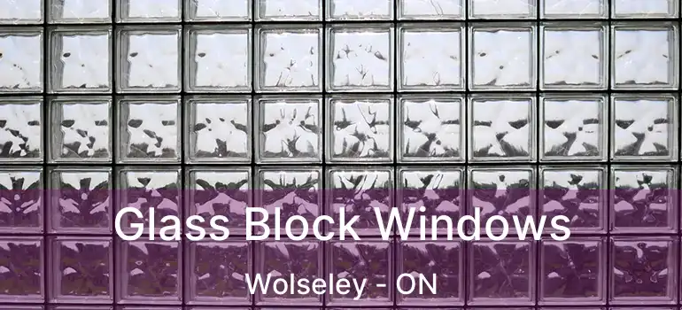  Glass Block Windows Wolseley - ON