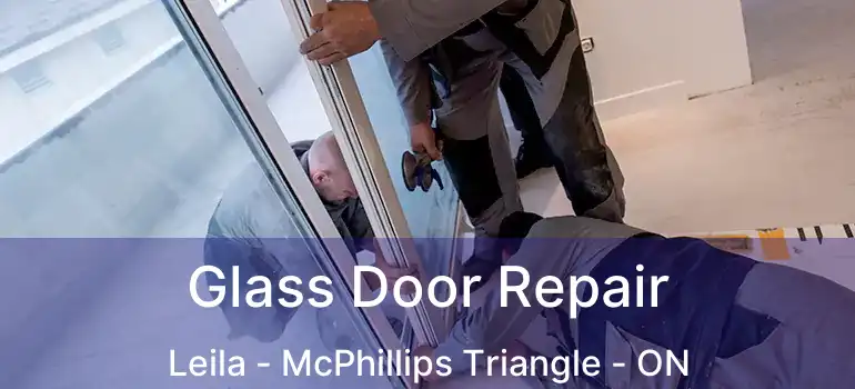  Glass Door Repair Leila - McPhillips Triangle - ON