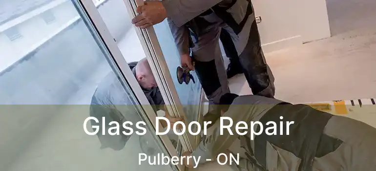  Glass Door Repair Pulberry - ON