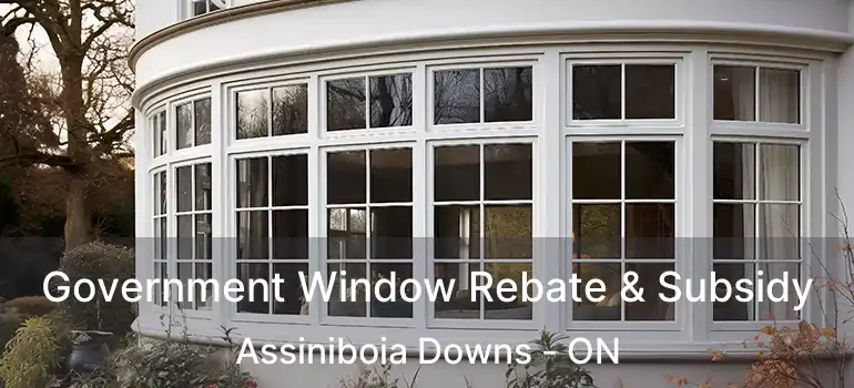  Government Window Rebate & Subsidy Assiniboia Downs - ON