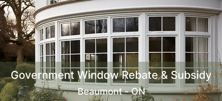  Government Window Rebate & Subsidy Beaumont - ON
