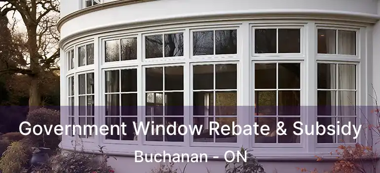  Government Window Rebate & Subsidy Buchanan - ON