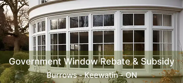  Government Window Rebate & Subsidy Burrows - Keewatin - ON