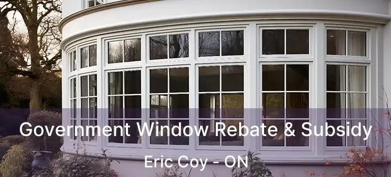  Government Window Rebate & Subsidy Eric Coy - ON