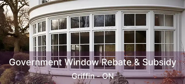  Government Window Rebate & Subsidy Griffin - ON