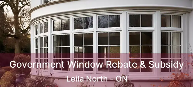  Government Window Rebate & Subsidy Leila North - ON