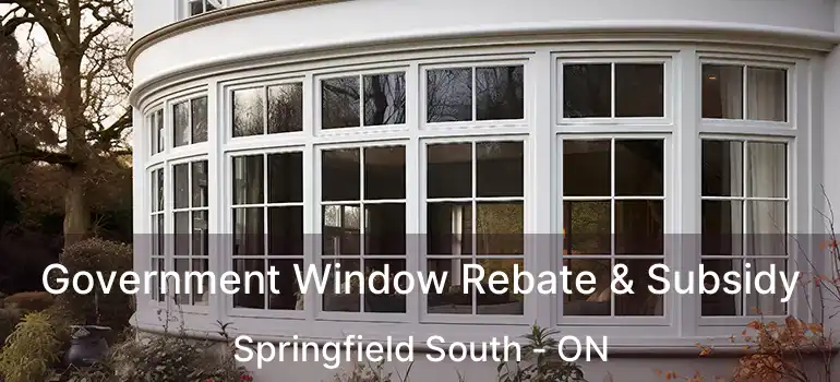  Government Window Rebate & Subsidy Springfield South - ON