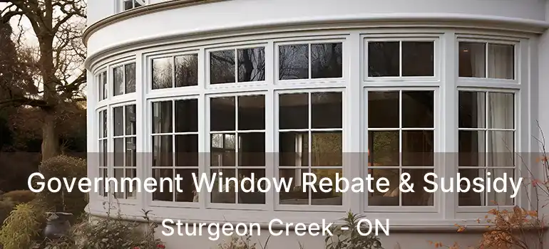  Government Window Rebate & Subsidy Sturgeon Creek - ON
