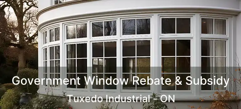  Government Window Rebate & Subsidy Tuxedo Industrial - ON