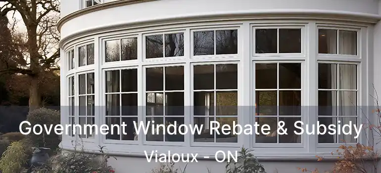  Government Window Rebate & Subsidy Vialoux - ON
