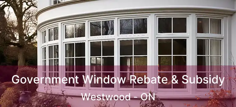  Government Window Rebate & Subsidy Westwood - ON