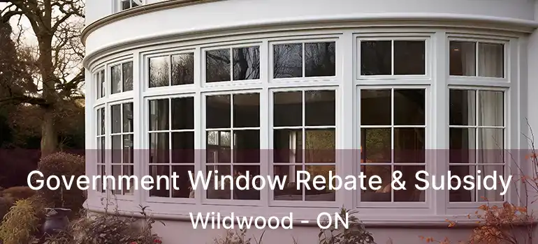  Government Window Rebate & Subsidy Wildwood - ON