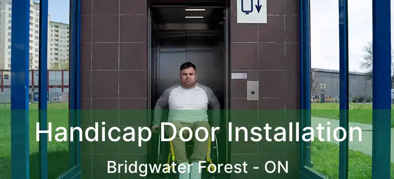  Handicap Door Installation Bridgwater Forest - ON