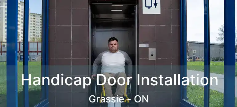  Handicap Door Installation Grassie - ON