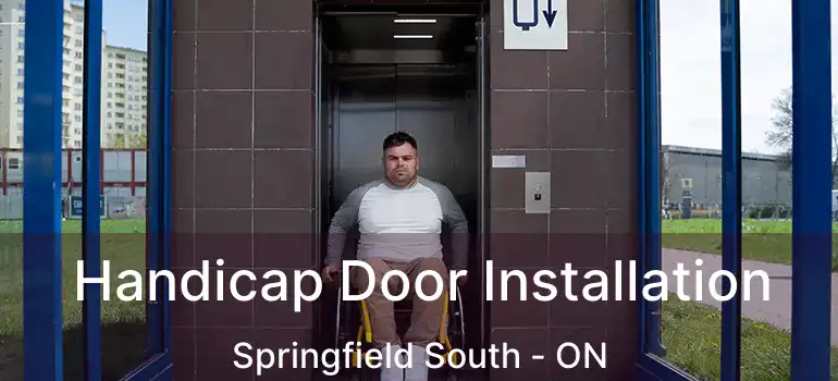  Handicap Door Installation Springfield South - ON