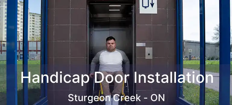  Handicap Door Installation Sturgeon Creek - ON