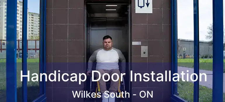  Handicap Door Installation Wilkes South - ON