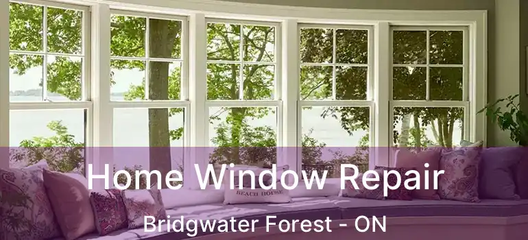  Home Window Repair Bridgwater Forest - ON
