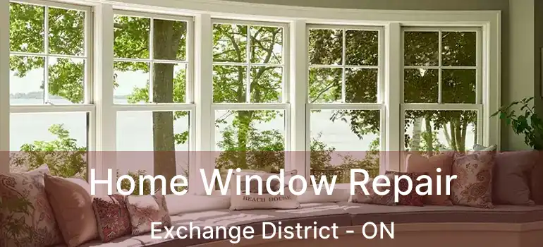  Home Window Repair Exchange District - ON