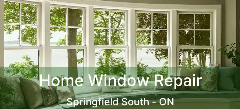  Home Window Repair Springfield South - ON